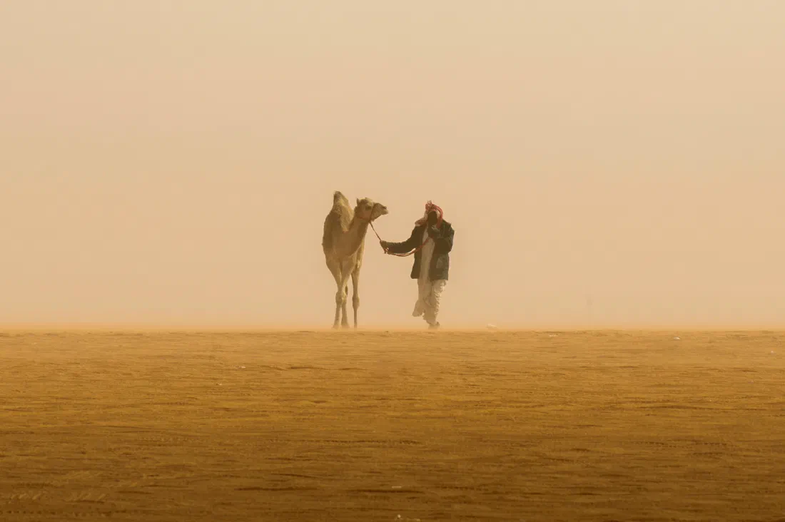 Saudi Arabia